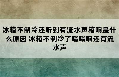 冰箱不制冷还听到有流水声箱响是什么原因 冰箱不制冷了嗡嗡响还有流水声